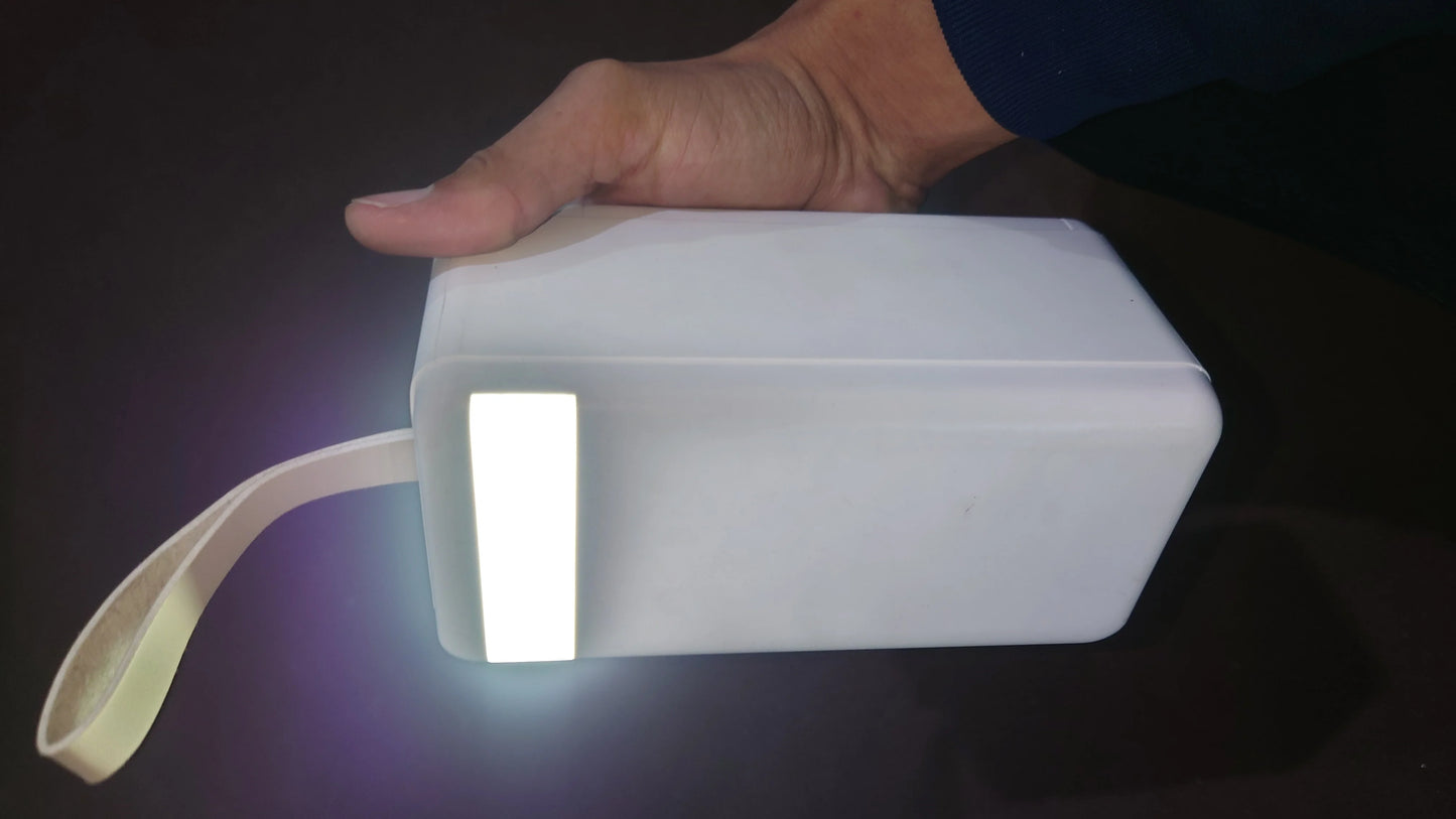 80000mAh PowerBank 18W