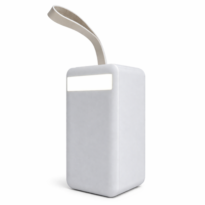 80000mAh PowerBank 18W
