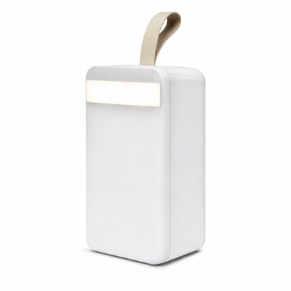 80000mAh PowerBank 18W