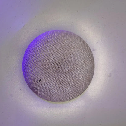Google Home Mini Gen 1